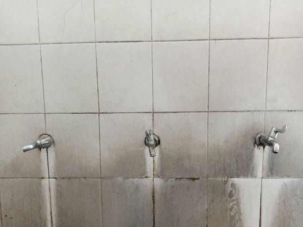 Best Water damage contractors near me  in Athens, TX