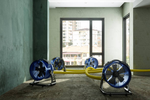 Best Emergency water damage restoration  in Athens, TX