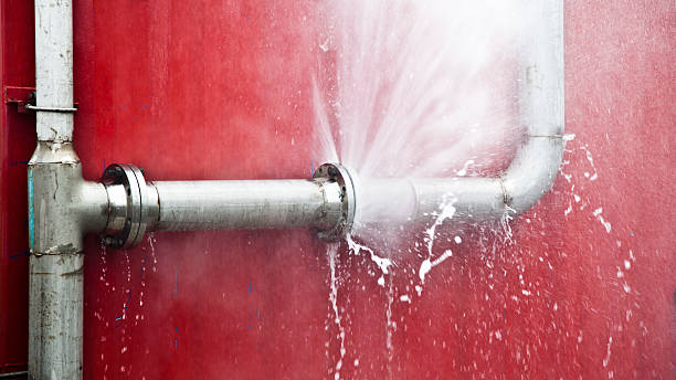 Best Ceiling water damage repair  in Athens, TX